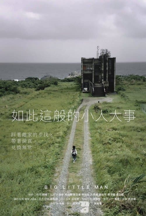 如此這般的小人大事 poster