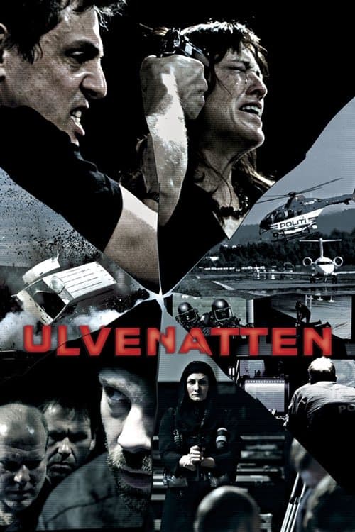 Ulvenatten poster