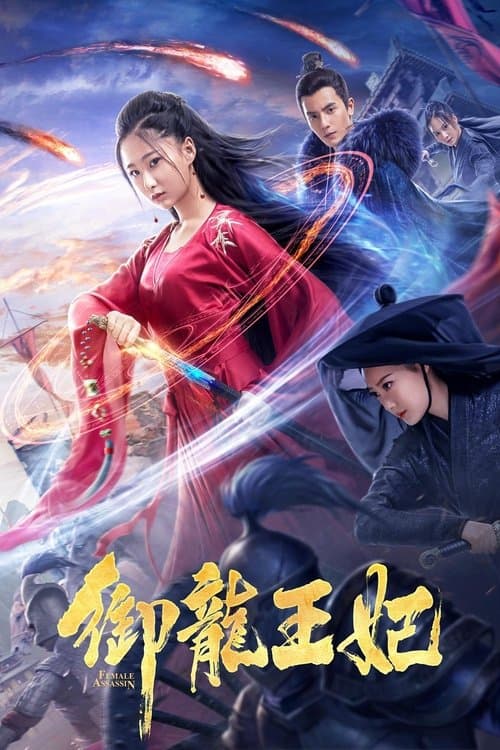 御龙王妃 poster