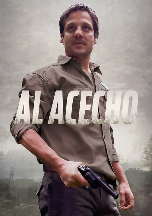Al acecho poster