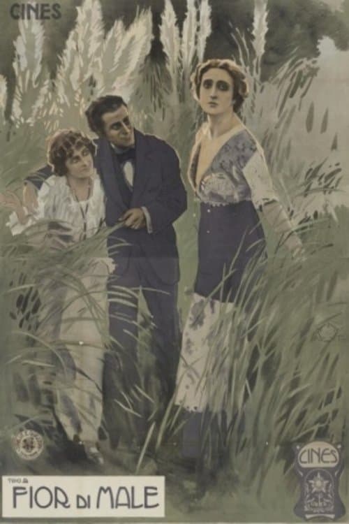 Fior di Male poster
