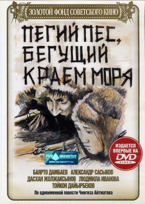 Пегий пес, бегущий краем моря poster