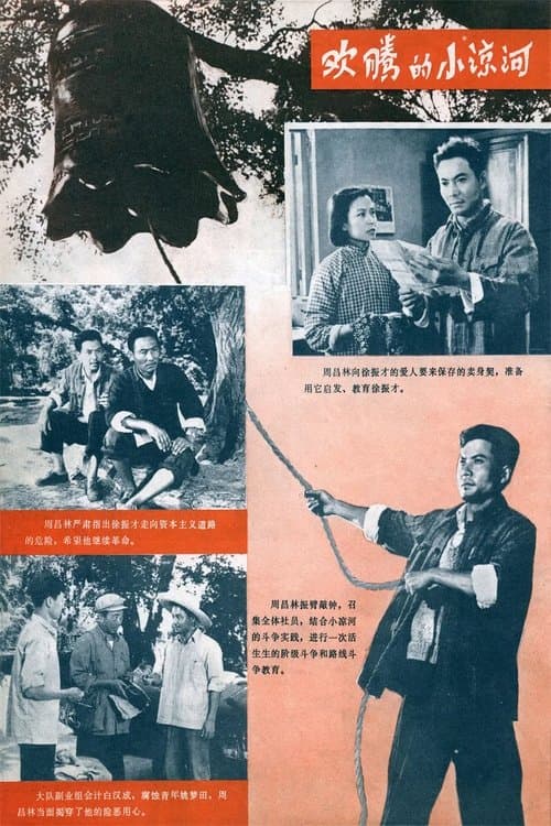 欢腾的小凉河 poster