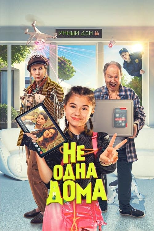 Не одна дома poster
