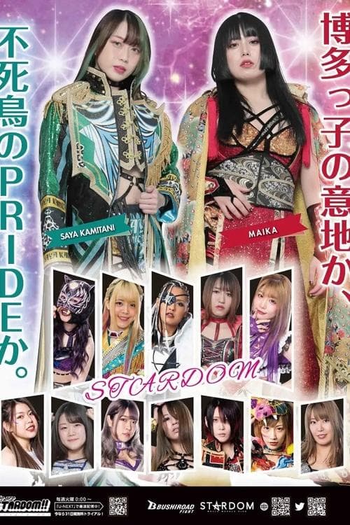 スターダムゴールデンウィークファイトツアー poster