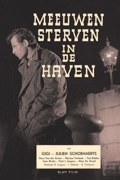 Meeuwen sterven in de haven poster