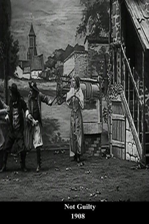 Anaïc ou le balafré poster
