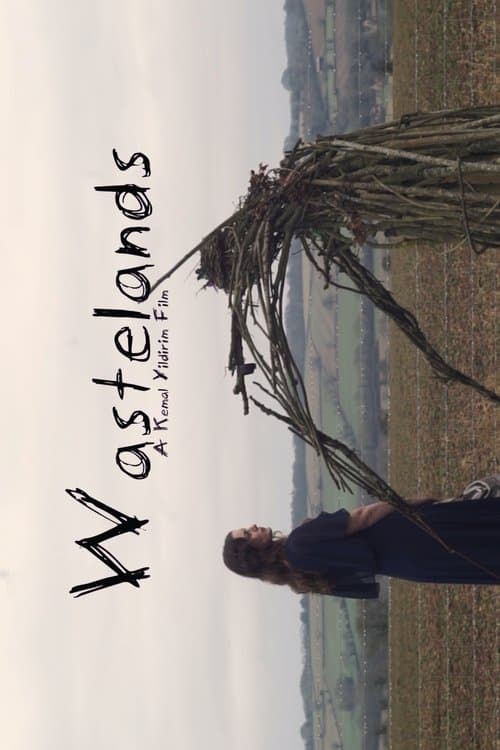 Wastelands poster