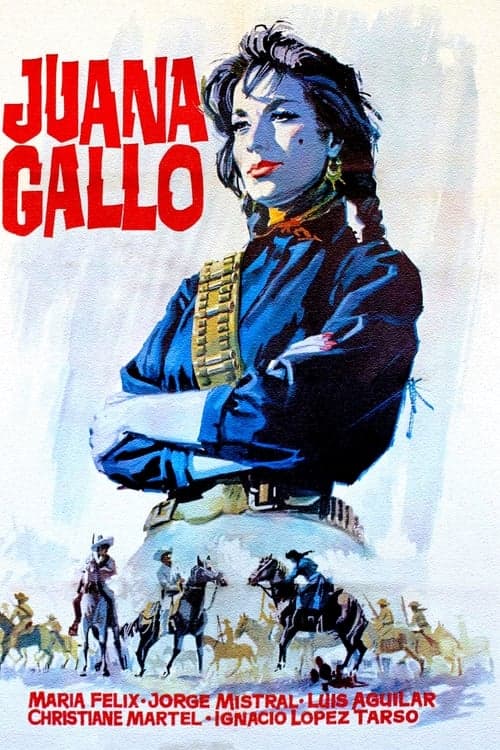 Die Verdammten vom Rio Grande poster