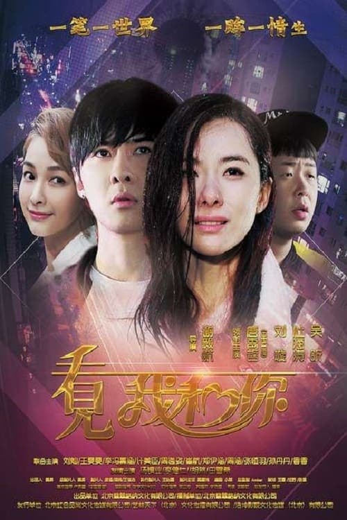 看见我和你 poster