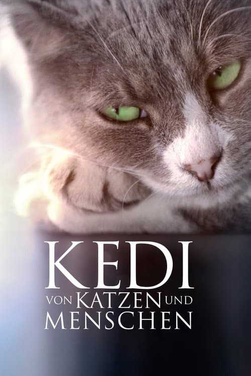 Kedi - Von Katzen und Menschen poster
