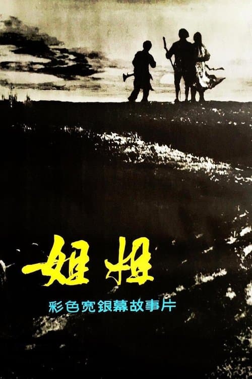 姐姐 poster
