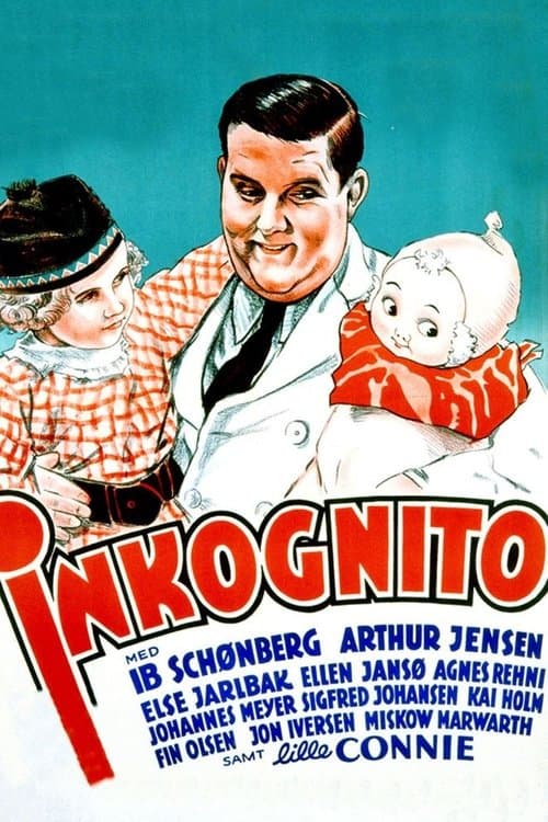 Inkognito poster