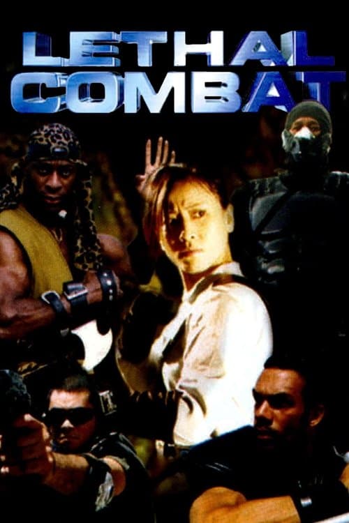 數碼英雄 poster