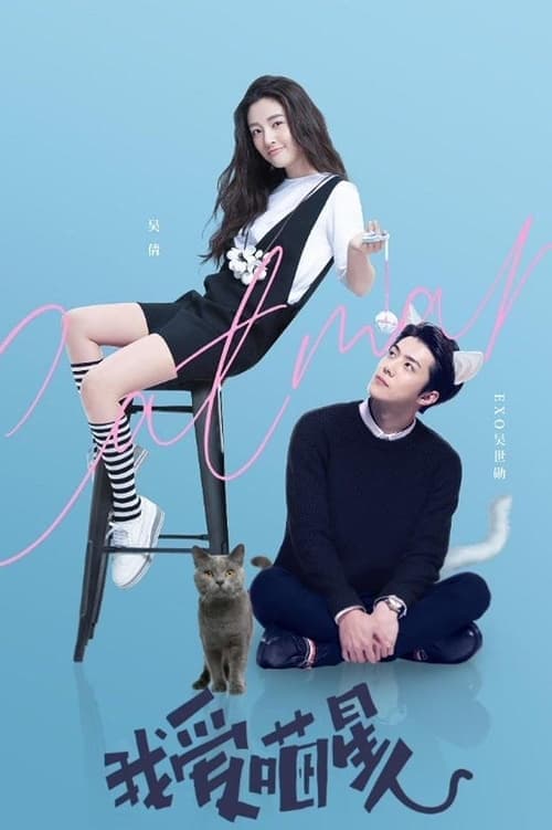 我爱喵星人 poster