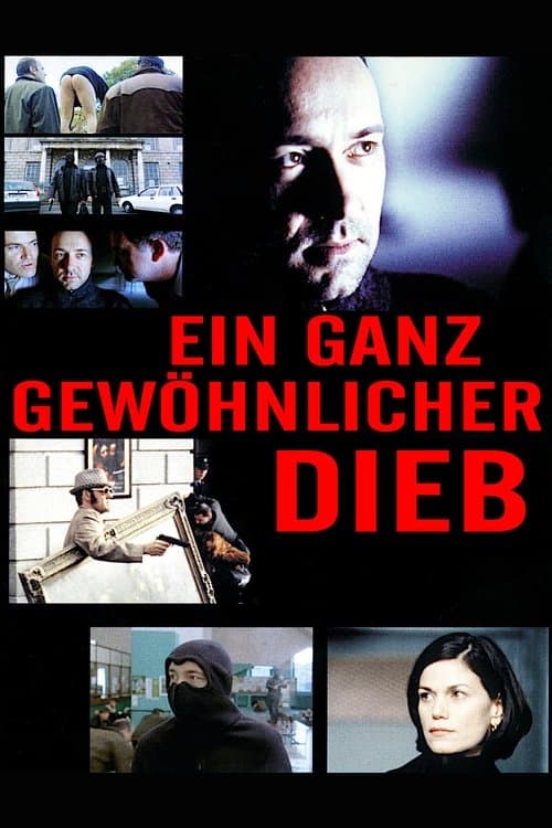 Ein ganz gewöhnlicher Dieb poster