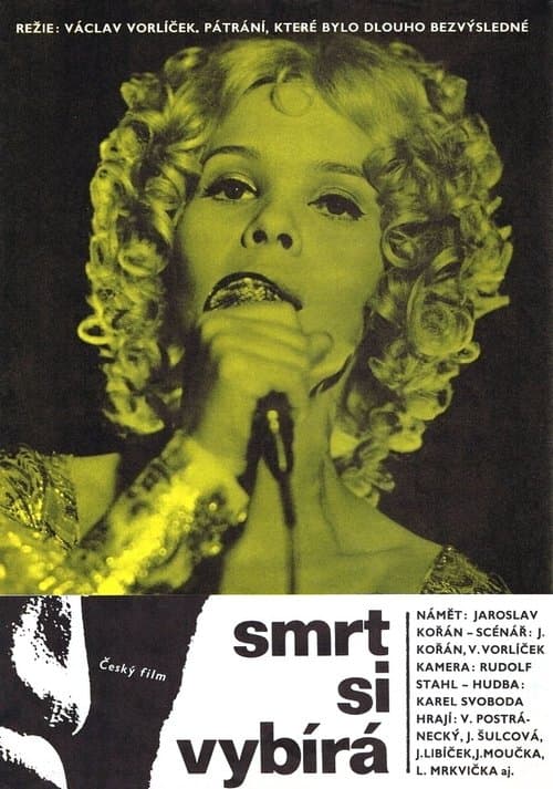 Smrt si vybírá poster