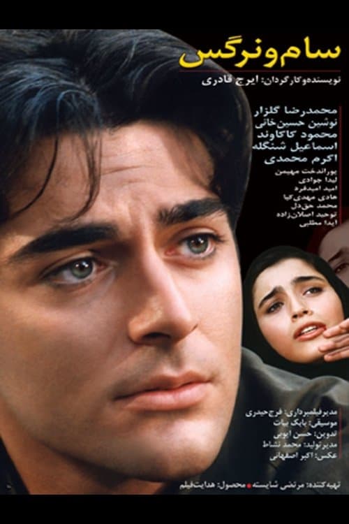 سام و نرگس poster