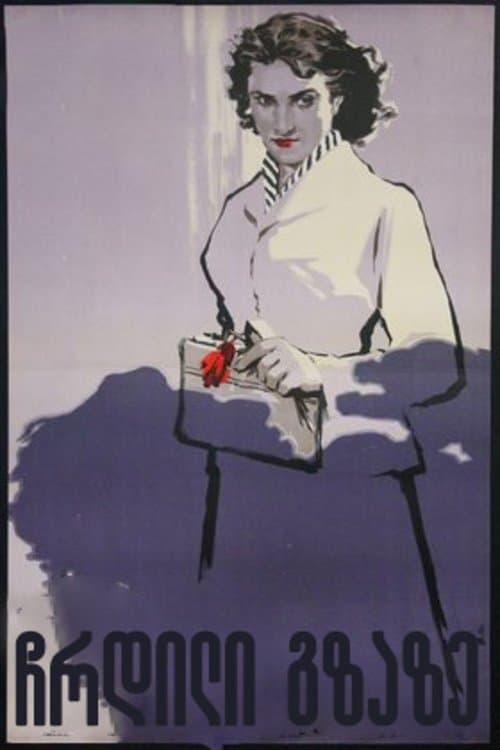 ჩრდილი გზაზე poster