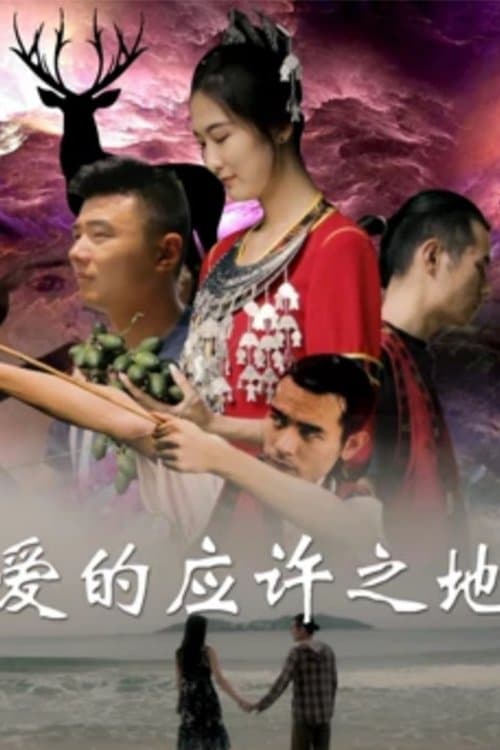 爱的应许之地 poster