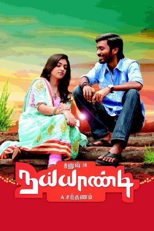 நய்யாண்டி poster