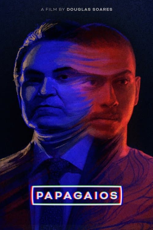 Papagaios poster