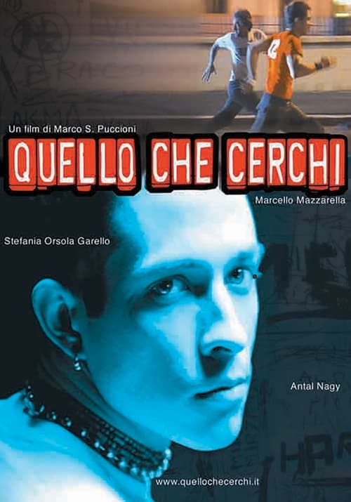 Quello che cerchi poster