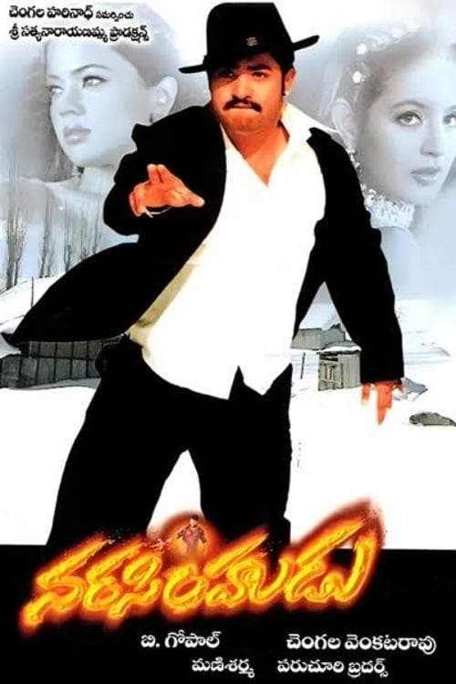 నరసింహుడు poster