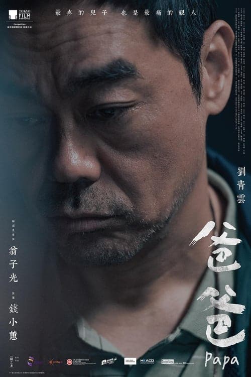 爸爸 poster