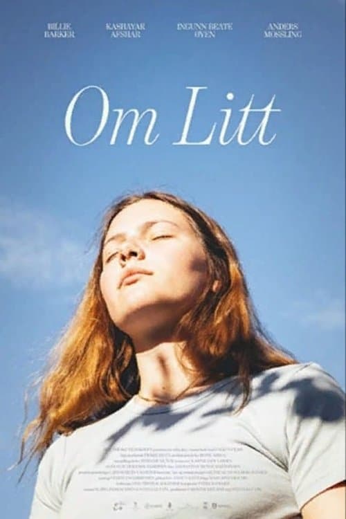 Om Litt poster