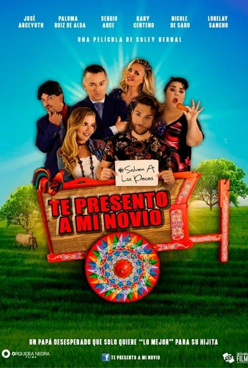 Te presento a mi novio poster