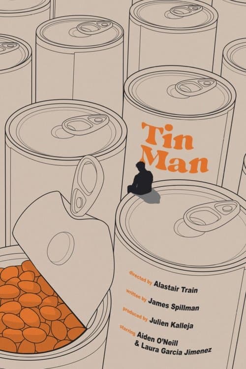 Tin Man poster