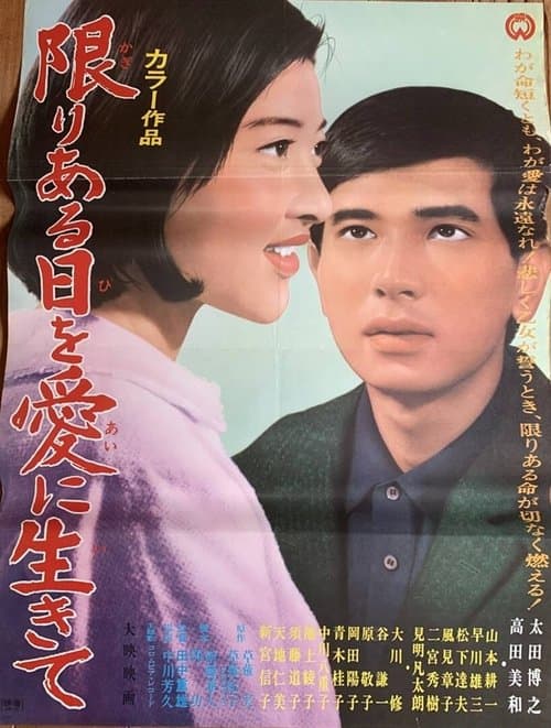 限りある日を愛に生きて poster