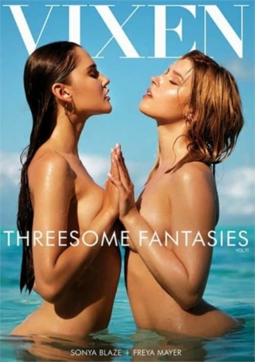 Threesome Fantasies 11 poster