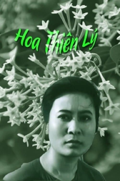 Hoa Thiên Lý poster