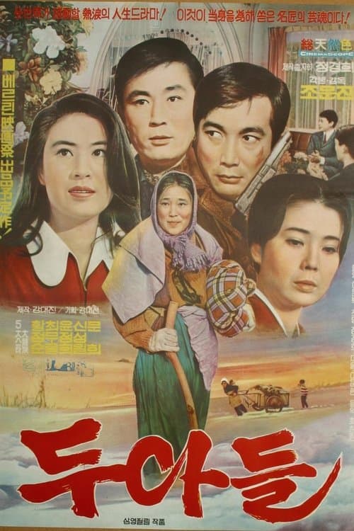 두 아들 poster