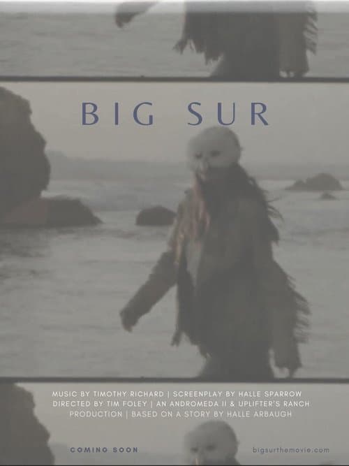Big Sur poster