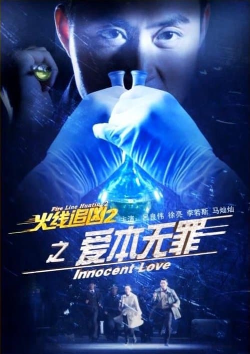 火线追凶2之爱本无罪 poster