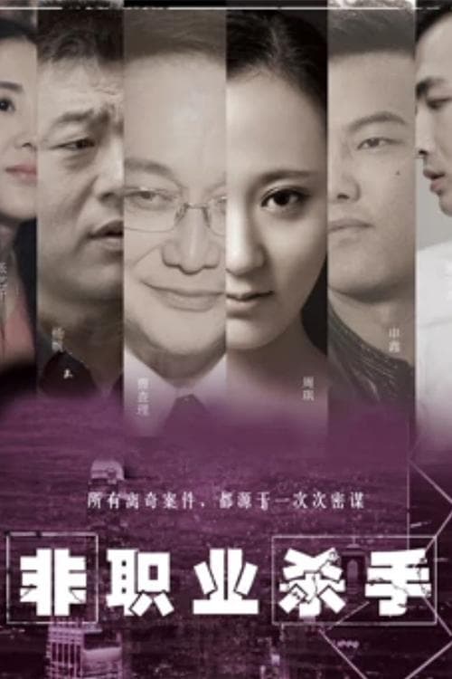 非职业杀手 poster