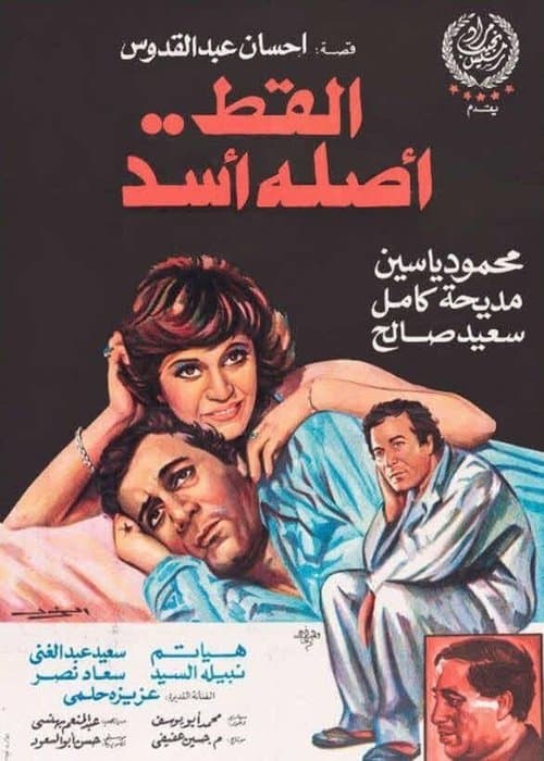 القط أصله أسد poster