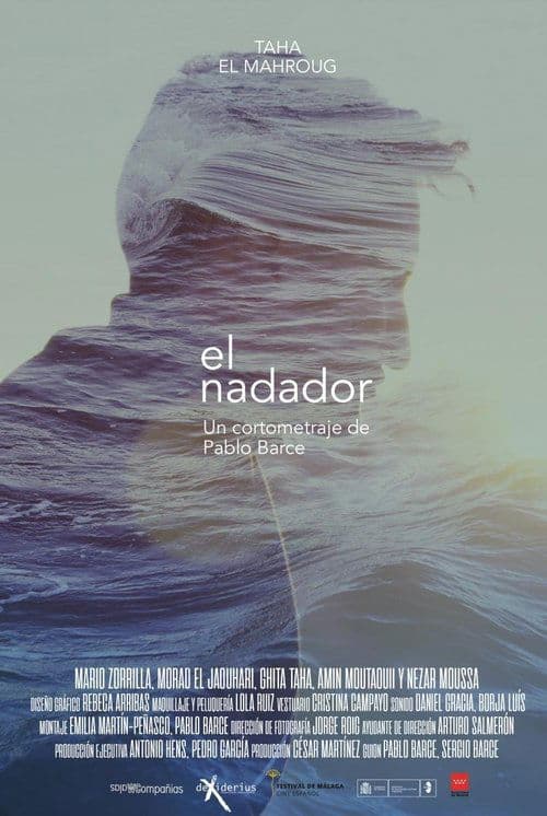 El nadador poster