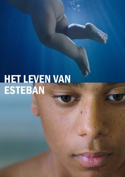 Het leven van Esteban poster