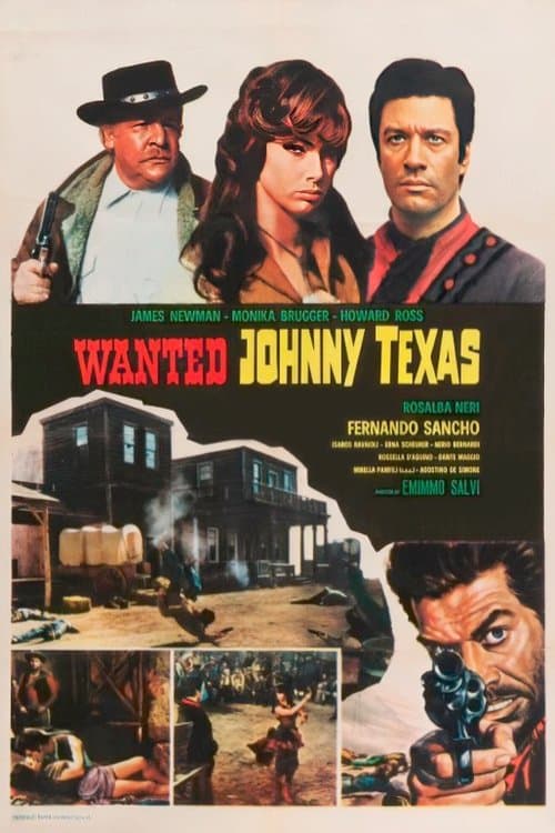 Wanted Johnny Texas poster