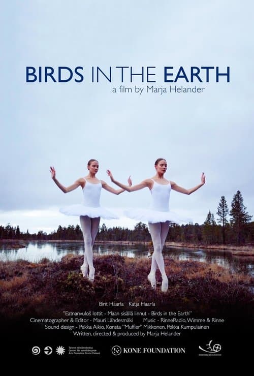Birds in the Earth poster