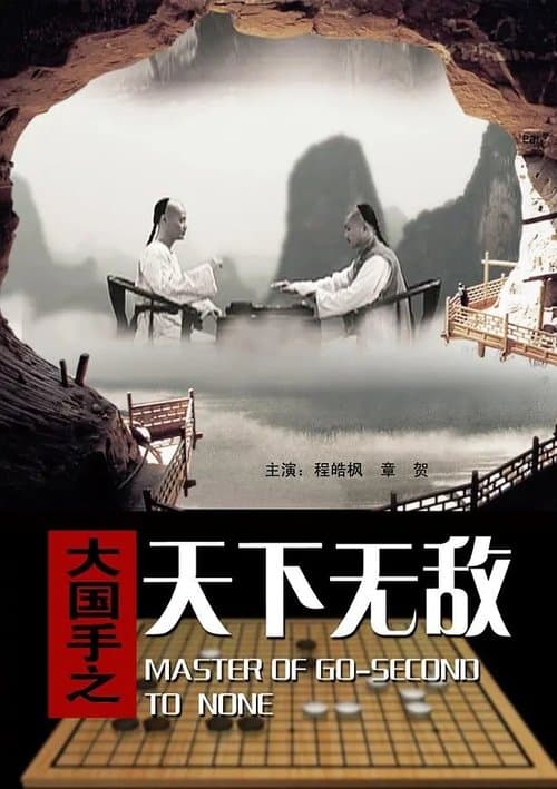 大国手之天下无敌 poster