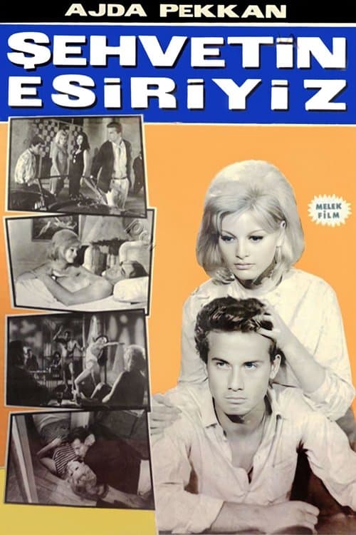 Şehvetin Esiriyiz poster