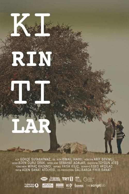 Kırıntılar poster