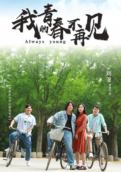 我的青春不再见 poster