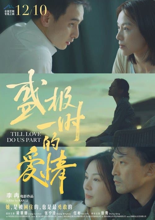 盛极一时的爱情 poster