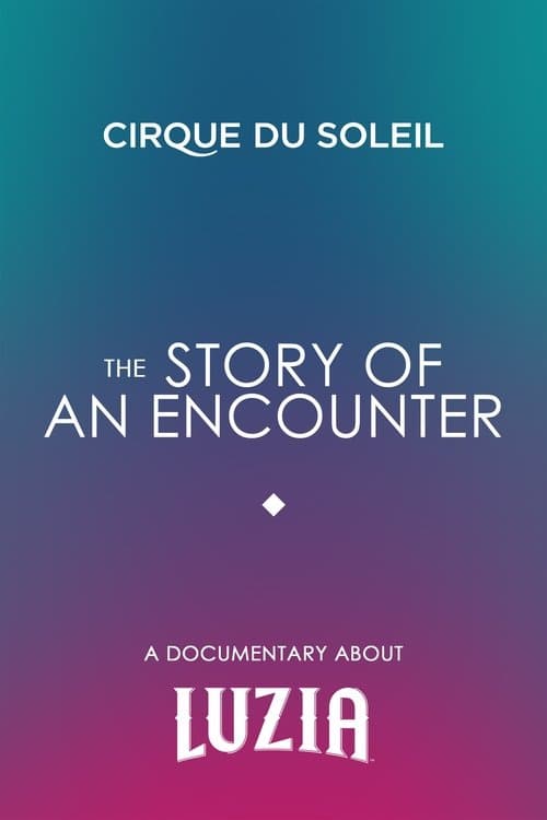 The Story Of An Encounter poster